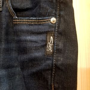 Silver "Elyse" Skinny Jeans.  Size 30 X 31.